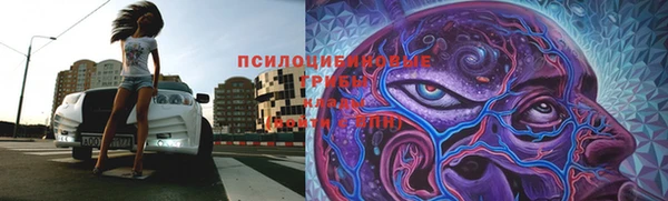 Альфа ПВП Гусь-Хрустальный