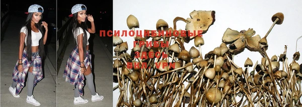 Альфа ПВП Гусь-Хрустальный