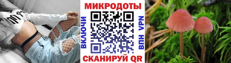 купить наркотик  Пушкино  Псилоцибиновые грибы GOLDEN TEACHER 