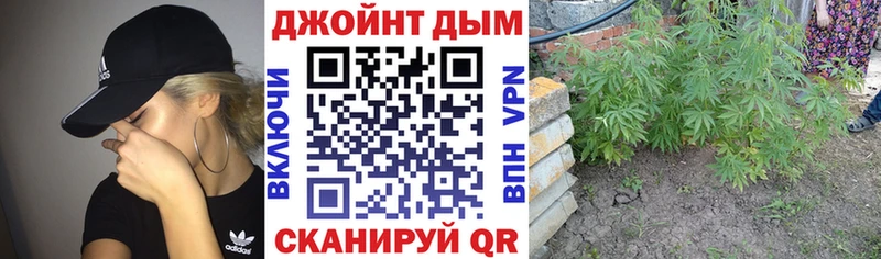 Бошки Шишки индика Пушкино